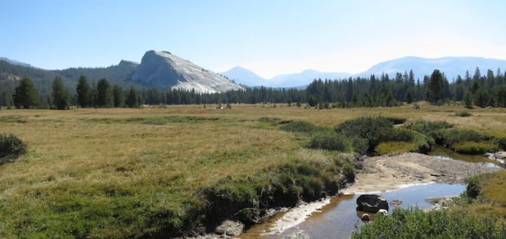 Lembert Dome across Tuolumne Meadow north of Tioga Hwy.