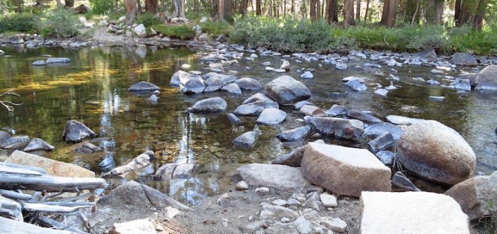 A lovely stone path across a quiet creek.