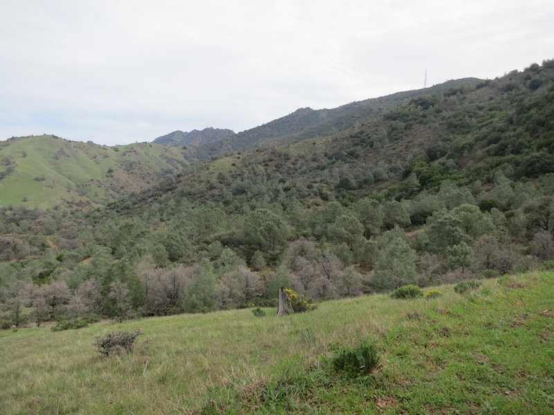 view from mitchell canyon rd after deer flat
