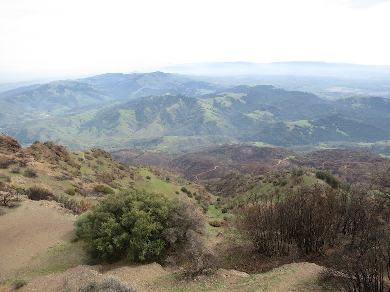 Eastward (?) view from Mount Diablo Summit
