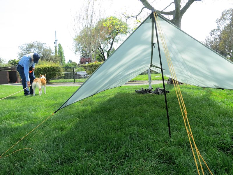 a frame tarp with taut-line hitch and umbrella