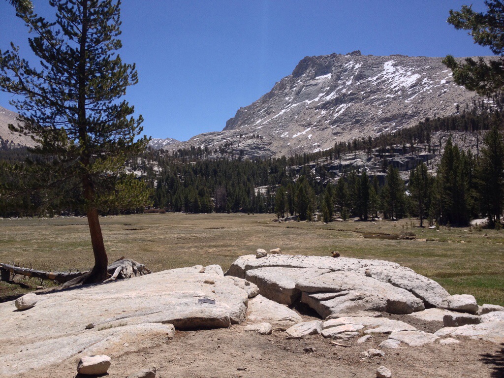 Crabtree Meadows, with a marmot on the rock.