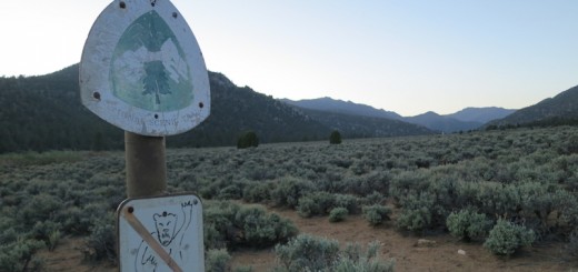 pct trail marker with "no bears" image drawn below