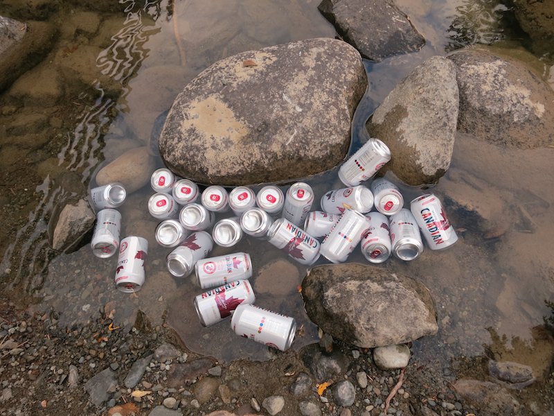 a cache of beer cans in the creek at the end of the hike